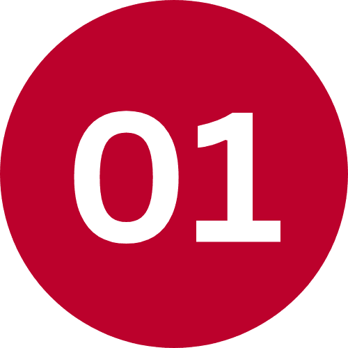 Hyderabad top escort service